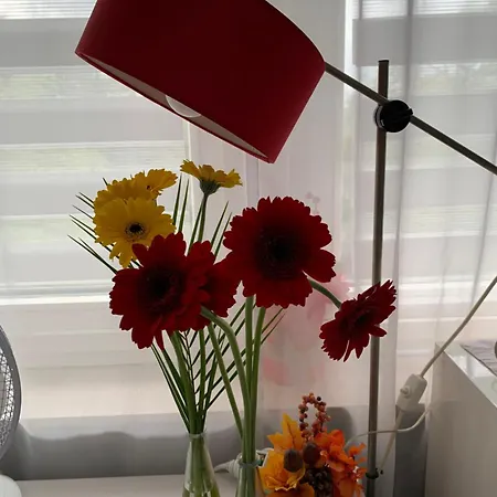 Fulda Apartment * Fulda